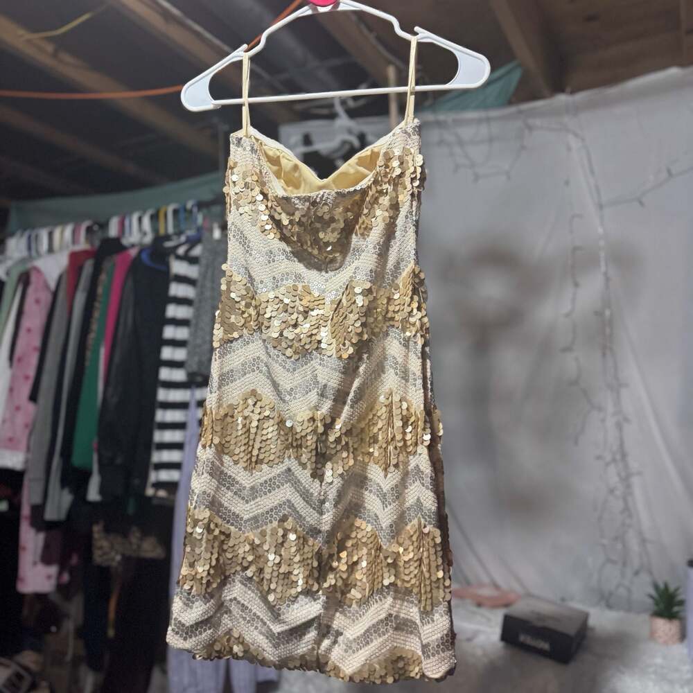 Express Gold and Silver Sequin Chevron Mini Dress